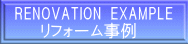 RENOVATION EXAMPLE    tH[